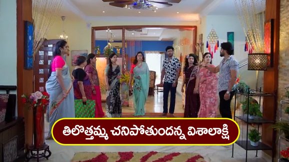 Trinayani Serial Today January 15th: ‘త్రినయని’ సీరియల్‌: రత్నాంభను కన్పీజ్‌ చేసిన వల్లభ – తిలొత్తమ్మ చనిపోతుందన్న విశాలాక్షి  