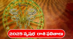 RAPO22: సాగర్ గాడి గర్ల్ ఫ్రెండ్.. మహాలక్ష్మీలా కళకళలాడుతుందే
