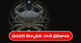 Horoscope cancer 2025 :  కర్కాటక రాశి జాతకులకు 2025లో ఎలాంటి ఫలితాలు ఉన్నాయో తెలుసుకుందాం