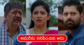 Australia Won BGT: WTC రేసు నుంచి ఔట్..10 ఏళ్ల తర్వాత BGT సిరీస్ కోల్పోయిన టీమిండియా