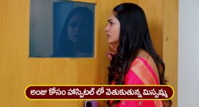  Nindu Noorella Saavasam Serial Today January 31st : ‘నిండు నూరేళ్ల సావాసం’ సీరియల్‌:  హాస్పిటల్‌కు వెళ్లిన మిస్సమ్మ – ఇంటికి వచ్చిన అమర్‌  