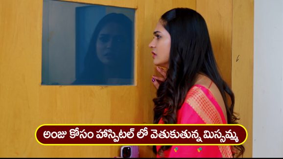  Nindu Noorella Saavasam Serial Today January 31st : ‘నిండు నూరేళ్ల సావాసం’ సీరియల్‌:  హాస్పిటల్‌కు వెళ్లిన మిస్సమ్మ – ఇంటికి వచ్చిన అమర్‌  