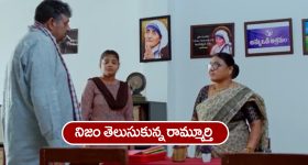 Tips For White Hair: ఇవి వాడారంటే.. తెల్లజుట్టు రానే రాదు