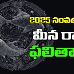 Horoscope Pisces  2025 :  మీన రాశి జాతకులకు 2025లో ఎలాంటి ఫలితాలు ఉన్నాయో తెలుసుకుందాం