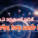 Astrology Nakshatra Dosha: ఈ నక్షత్ర దోషాలు ఉన్న పిల్లలు ఇంట్లో పుడితే –  వారికి గండాలు తప్పవట