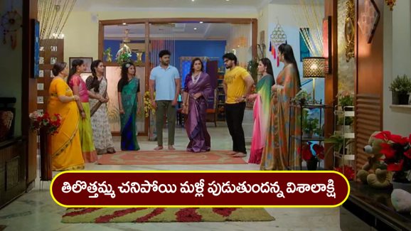 Trinayani Serial Today January 17th: ‘త్రినయని’ సీరియల్‌:  దురందర కడుపులో తిలొత్తమ్మ పుడుతుందన్న విశాలాక్షి –  దేవీపురం వెళ్లిపోతానన్న రత్నాంభ  