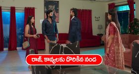 Winter Hair Care: ఈ టిప్స్ పాటిస్తే.. జుట్టు రాలనే రాలదు