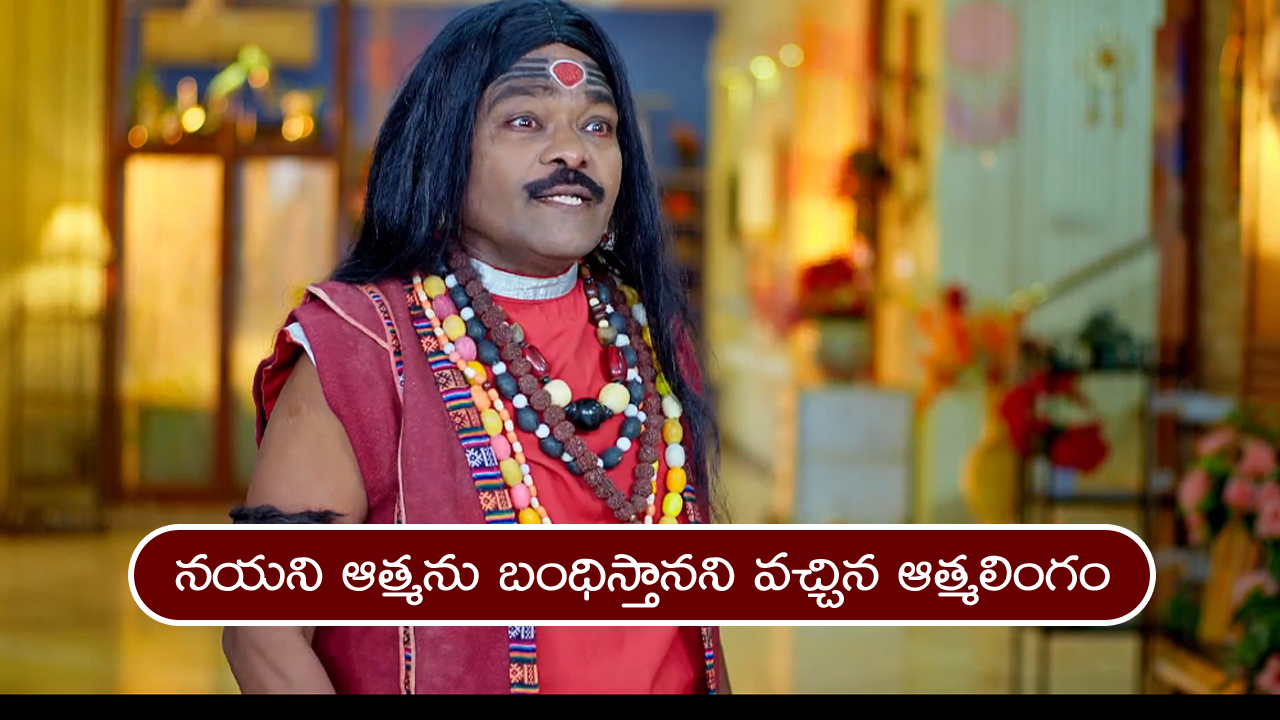 Trinayani Serial Today January 4th: ‘త్రినయని’ సీరియల్‌:  ఆత్మల కోసం వచ్చిన ఆత్మలింగం – టెన్షన్‌ పడుతున్న విక్రాంత్‌, నయని  