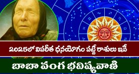 Yearly Horoscope 2025: 2025 లో విపరీతమైన ధనయోగం పట్టబోయే ఐదు రాశులు ఇవే - అందులో మీ రాశి ఉందో లేదో చూసుకోండి