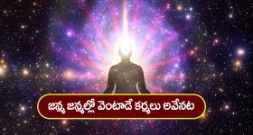 Karmas: జన్మజన్మల్లో వెంటాడే కర్మలు అవేనట – మీరు ఏ కర్మలు చేశారో తెలుసా..?
