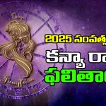 Horoscope virgo 2025 :  కన్యా రాశి జాతకులకు 2025లో ఎలాంటి ఫలితాలు ఉన్నాయో తెలుసుకుందాం