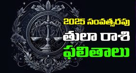 Pakistan UNSC : భారత్‌కు షాకిచ్చిన ఐరాస.. పాకిస్తాన్‌కు భద్రతా మండలిలో సీటు కేటాయింపు