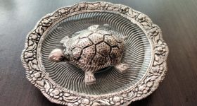 Tortoise Vastu Tips: ఇంట్లో తాబేలును ఈ దిశలో పెట్టుకుంటే.. అష్ట ఐశ్వర్యాలు, ఉద్యోగప్రాప్తి