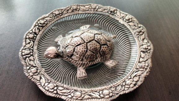 Tortoise Vastu Tips: ఇంట్లో తాబేలును ఈ దిశలో పెట్టుకుంటే.. అష్ట ఐశ్వర్యాలు, ఉద్యోగప్రాప్తి