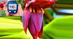 Banana Flower: ఈ పువ్వు షుగర్ పేషెంట్లకు.. వరం కంటే తక్కువేమీ కాదు !