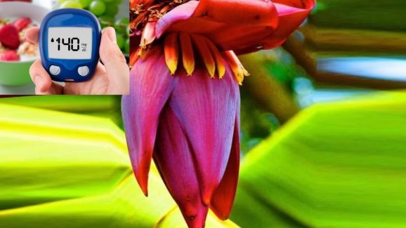 Banana Flower: ఈ పువ్వు షుగర్ పేషెంట్లకు.. వరం కంటే తక్కువేమీ కాదు !