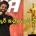 Oscar Award to Allu Arjun: బన్నీకి ఆస్కార్ ఇవ్వాలి.. సోషల్ మీడియాలో పెరుగుతున్న డిమాండ్