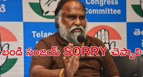 Safflower Oil: ఈ ఆయిల్  వాడితే.. జుట్టు జన్మలో రాలదు