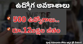 Relationship Manager Jobs: గుడ్ న్యూస్.. డిగ్రీ అర్హతతో HDFCలో భారీగా ఉద్యోగాలు.. పూర్తి వివరాలివే..