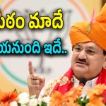 BJP Manifesto : అక్కడి ప్రజలపై బీజేపీ వరాల జల్లు.. ఇన్ని హామిలు ఇవ్వడం ఇదే తొలిసారి