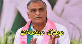 Curd For White Hair: తెల్లజుట్టు సమస్యలకు చెక్ పెట్టాలంటే.. పెరుగుతో ఇలా చేయండి..