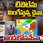 CHINA: మరింత దారుణంగా దిగజారిపోయిన చైనా.. చివరకు చిన్న పిల్లలను కూడా..?