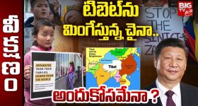 OTT Movie : పిల్లల్ని కనమని టార్చర్... వీల్లెక్కడి సైకోలురా బాబు