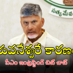 CM Chandrababu : రాష్ట్రానికి రూ.10 లక్షల కోట్ల పెట్టుబడులు.. భారీగా ఉద్యోగాల కల్పన.. సీఎం చంద్రబాబు ఆసక్తికర చిట్ చాట్..