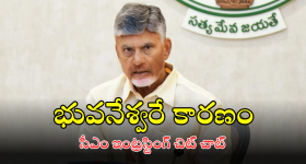 CM Chandrababu : రాష్ట్రానికి రూ.10 లక్షల కోట్ల పెట్టుబడులు.. భారీగా ఉద్యోగాల కల్పన.. సీఎం చంద్రబాబు ఆసక్తికర చిట్ చాట్..
