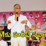 Harish Rao on CM Revanth: సీఎం రేవంత్‌కు హరీష్ రావు సవాల్.. కురుమూర్తి టెంపుల్ వెళ్దాం.. వస్తావా..?