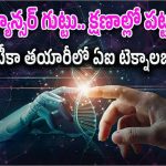Stargate Venture : ఏఐ టెక్నాలజీ సంచలనం.. క్యాన్సర్‌ని గుర్తించిన 48 గంటల్లోనే టీకా తయారీ..