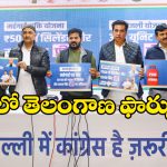 Delhi Elections: ఉచిత విద్యుత్, 500కే గ్యాస్, ఢిల్లీ ఓటర్లపై కాంగ్రెస్ ఉచిత హామీల జల్లు!