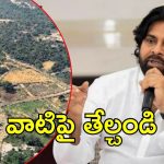 Pawan On Peddireddy: పెద్దిరెడ్డికి ‘ఫారెస్ట్’ కష్టాలు.. విచారణకు పవన్ కల్యాణ్ ఆదేశం