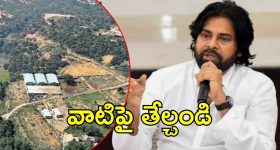Pawan On Peddireddy: పెద్దిరెడ్డికి ‘ఫారెస్ట్’ కష్టాలు.. విచారణకు పవన్ కల్యాణ్ ఆదేశం
