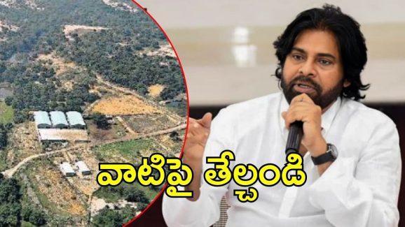 Pawan On Peddireddy: పెద్దిరెడ్డికి ‘ఫారెస్ట్’ కష్టాలు.. విచారణకు పవన్ కల్యాణ్ ఆదేశం