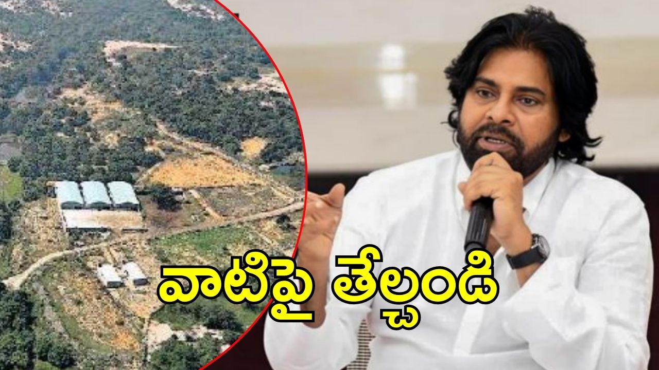 Pawan On Peddireddy: పెద్దిరెడ్డికి ‘ఫారెస్ట్’ కష్టాలు.. విచారణకు పవన్ కల్యాణ్ ఆదేశం