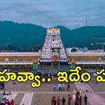 Tirumala News: తిరుమలలో అపచారం.. రామ రామ, ఎంత పని చేశారు?