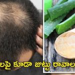 Tips For Hair Fall Control: బట్టతలపై కూడా జుట్టు రావాలంటే.. ఇలా చేయండి !