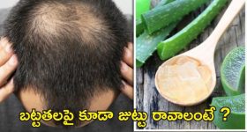 Tips For Hair Fall Control: బట్టతలపై కూడా జుట్టు రావాలంటే.. ఇలా చేయండి !