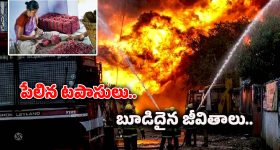 Land Grabbing Case: చీమకుర్తి.. జగన్ బినామీ? వైసీపీని వణికిస్తున్న రూ.700 కోట్ల భూకబ్జా కేసు