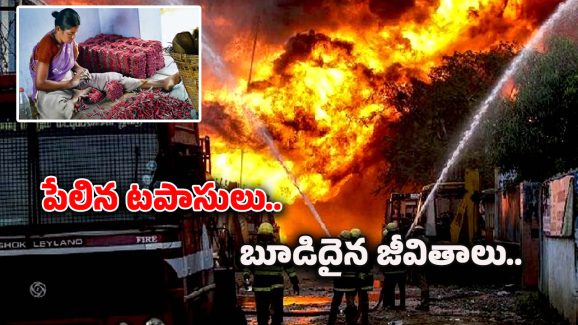 Tamil Nadu News : తమిళనాడులోని బాణా సంచా కర్మాగారంలో పేలుడు..