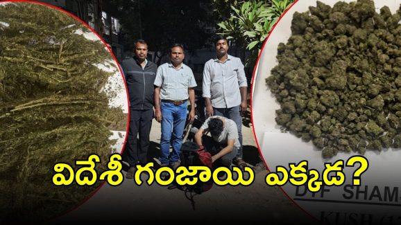 Foreign Ganja Seized: గచ్చిబౌలిలో ఫారెన్ గంజాయి.. ఉచ్చులో టెక్కీలు, ఫిల్మ్ ఇండస్ట్రీలో కొందరు