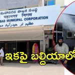 GHMC On Mosquitoes: దోమల నివారణ.. జీహెచ్ఎంసీ కొత్త ప్లాన్, ఏంటది