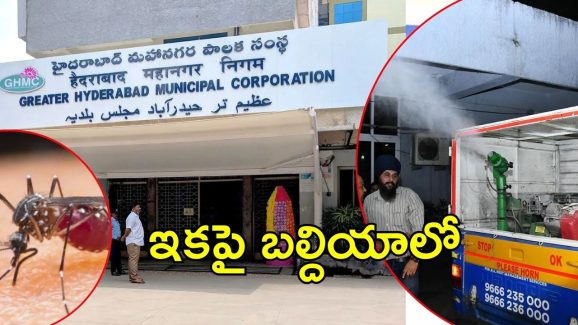 GHMC On Mosquitoes: దోమల నివారణ.. జీహెచ్ఎంసీ కొత్త ప్లాన్, ఏంటది