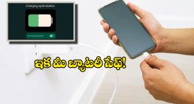 Beauty Tips: ముఖాన్ని మెరిపించే ఫేస్ పీల్స్.. ఇంట్లోనే తయారు చేసుకోండి ఇలా..