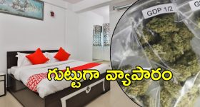 Women's U 19 T20 World Cup: నేటి నుంచి U19 మహిళల టీ20 WC.. టైమింగ్స్‌, స్ట్రీమింగ్‌ ఎక్కడంటే ?
