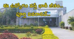 Teeth Whitening Tips: ఇలా చేస్తే.. గార పట్టిన పళ్లు క్షణాల్లోనే.. తెల్లగా మెరిసిపోతాయ్