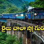 India’s Slowest train: దేశంలో అత్యంత నెమ్మదిగా వెళ్లే రైలు.. గంటకు దీని వేగం ఎంతో తెలుసా?
