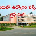 Scientist Jobs in CRRI: ఈ అర్హత ఉన్న వాళ్లకు గోల్డెన్ ఛాన్స్.. నెలకు రూ.1,35,000.. DON‘T MISS..