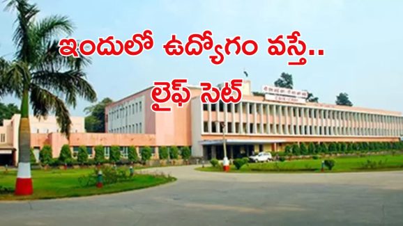 Scientist Jobs in CRRI: ఈ అర్హత ఉన్న వాళ్లకు గోల్డెన్ ఛాన్స్.. నెలకు రూ.1,35,000.. DON‘T MISS..